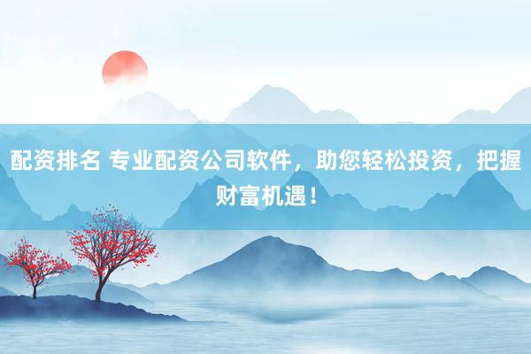 配资排名 专业配资公司软件，助您轻松投资，把握财富机遇！