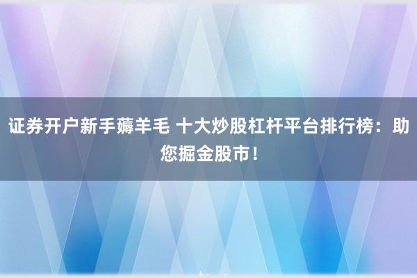 证券开户新手薅羊毛 十大炒股杠杆平台排行榜：助您掘金股市！