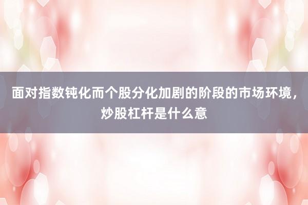 面对指数钝化而个股分化加剧的阶段的市场环境，炒股杠杆是什么意