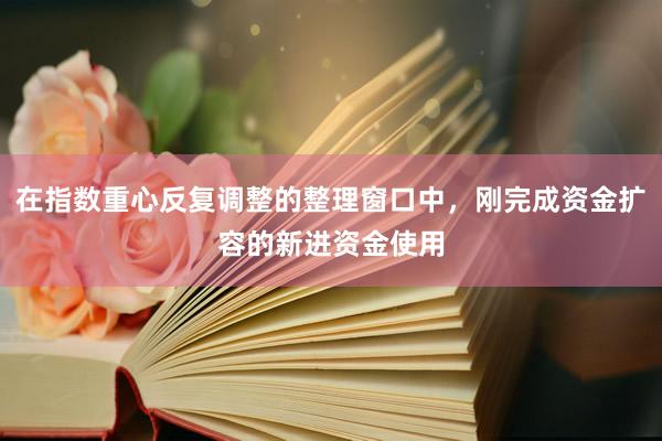 在指数重心反复调整的整理窗口中，刚完成资金扩容的新进资金使用