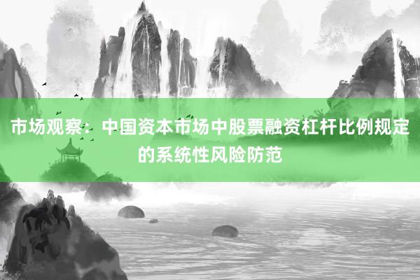 市场观察：中国资本市场中股票融资杠杆比例规定的系统性风险防范