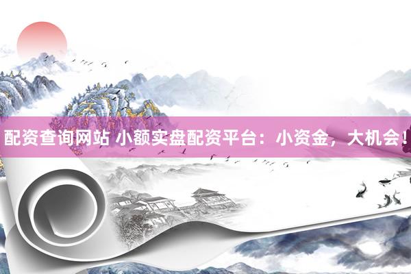 配资查询网站 小额实盘配资平台：小资金，大机会！