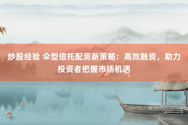 炒股经验 伞型信托配资新策略：高效融资，助力投资者把握市场机遇