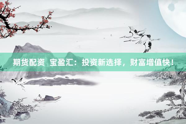 期货配资  宝盈汇：投资新选择，财富增值快！