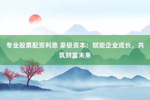 专业股票配资利息 豪极资本：赋能企业成长，共筑财富未来